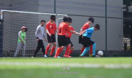 足球短视频,激情四溢的精彩瞬间回顾